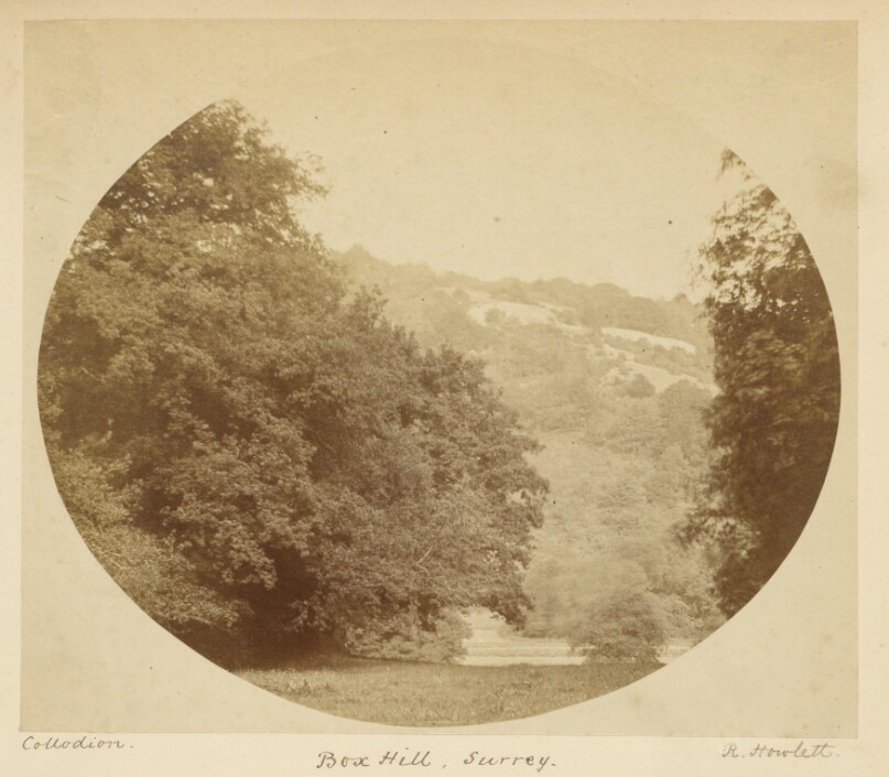 Box Hill, Surrey