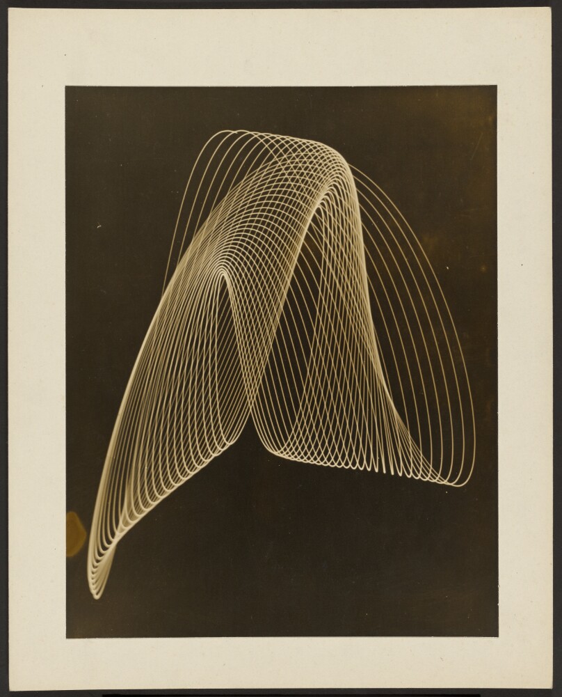 [Sympalmagraph Photographing]