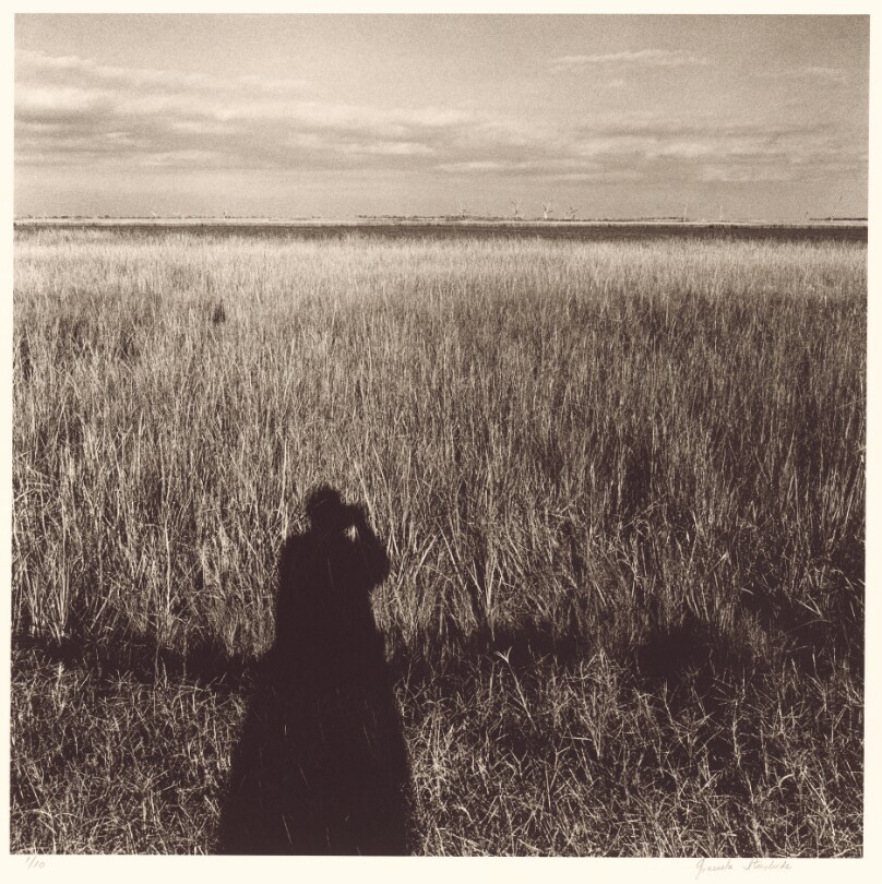 Carretera 308: De Golden Meadow a Grand Isle, Louisiana
