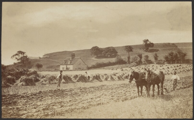 [Horses plowing]