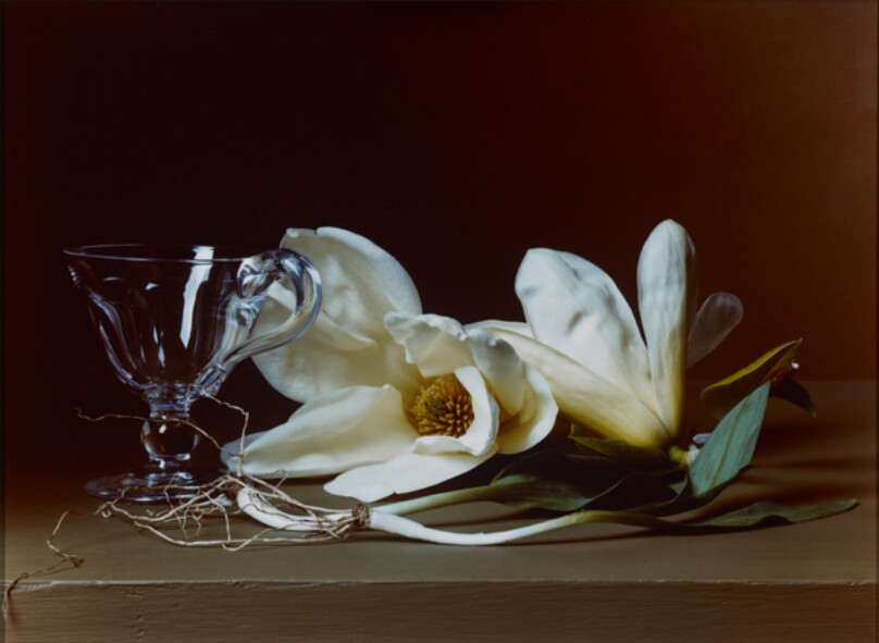 Early American, Magnolia and Wild Leeks