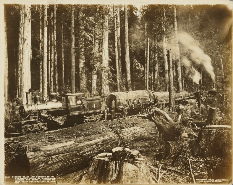 Logging Train and Donkeys in the Wonderful Woods of Washington