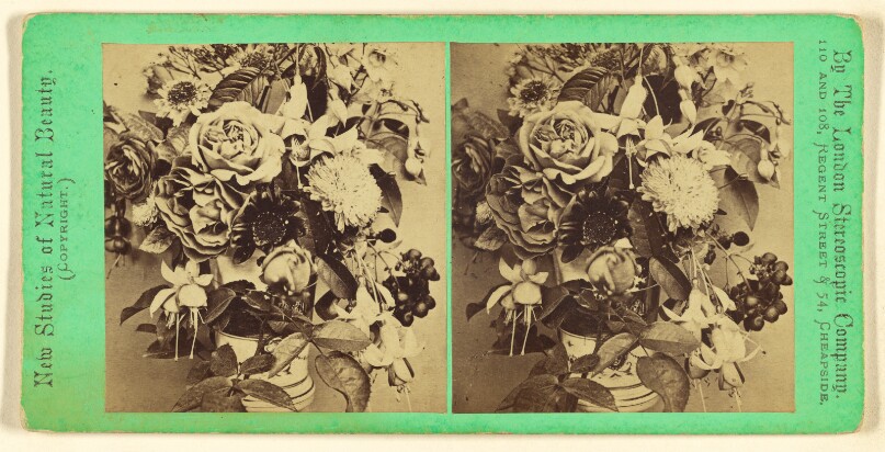 London Stereoscopic and Photographic Company