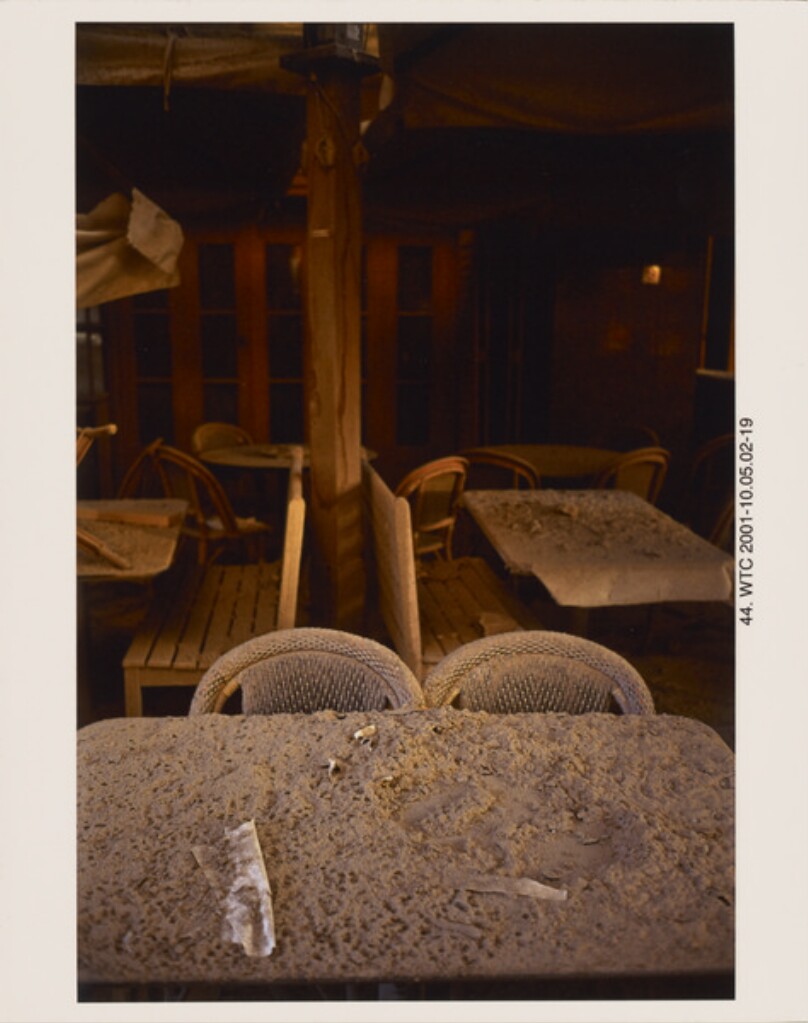Still Life, Winter Garden