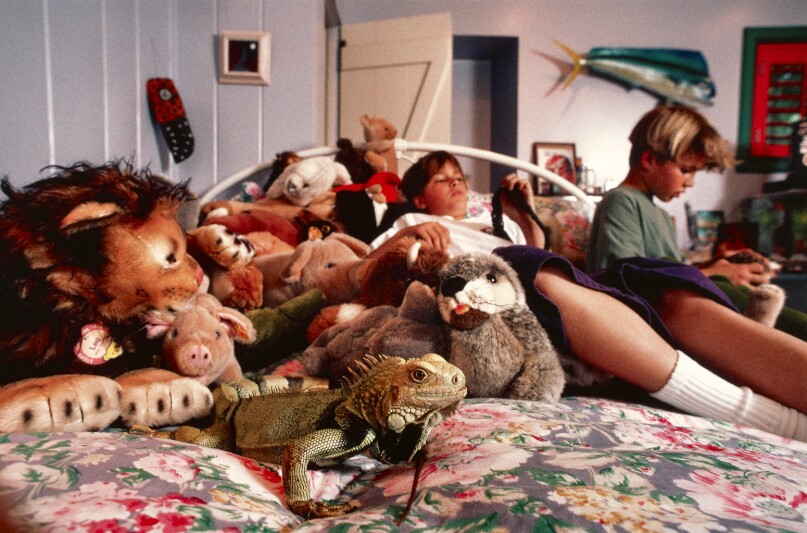 Matthew's Iguana and stuffed animals, Bel-Air