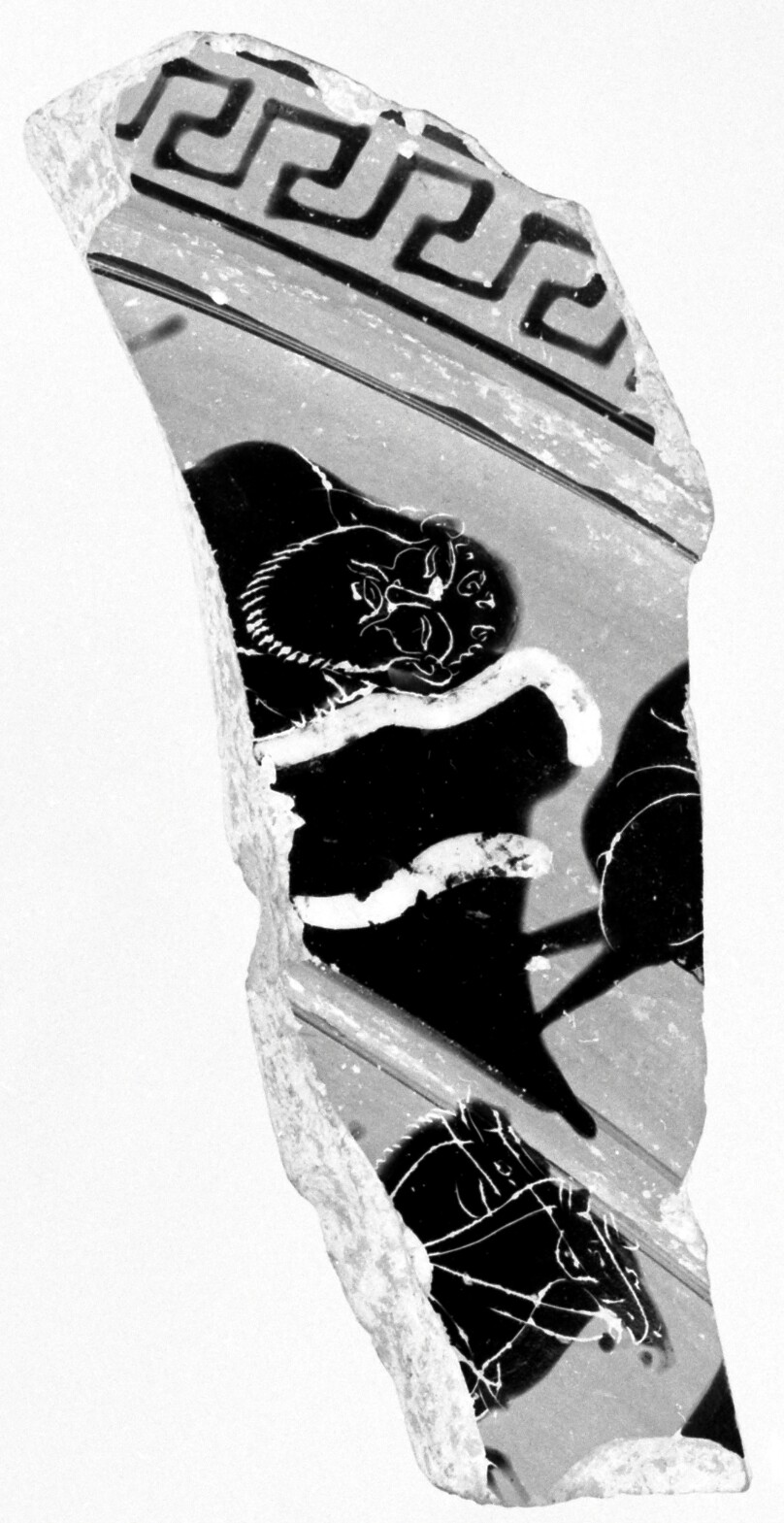 One Fragment from an Attic Black-Figure Volute Krater