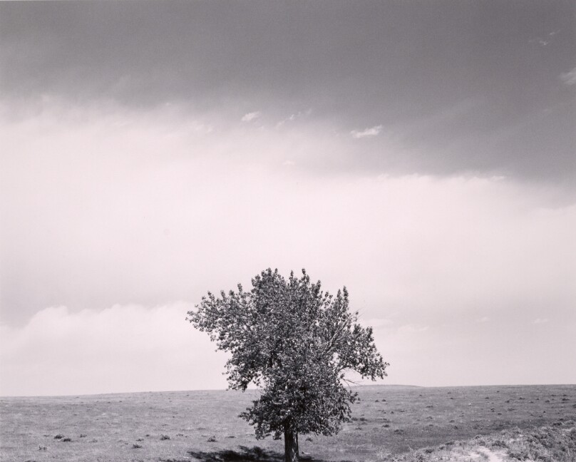 Pawnee Grassland, Colorado