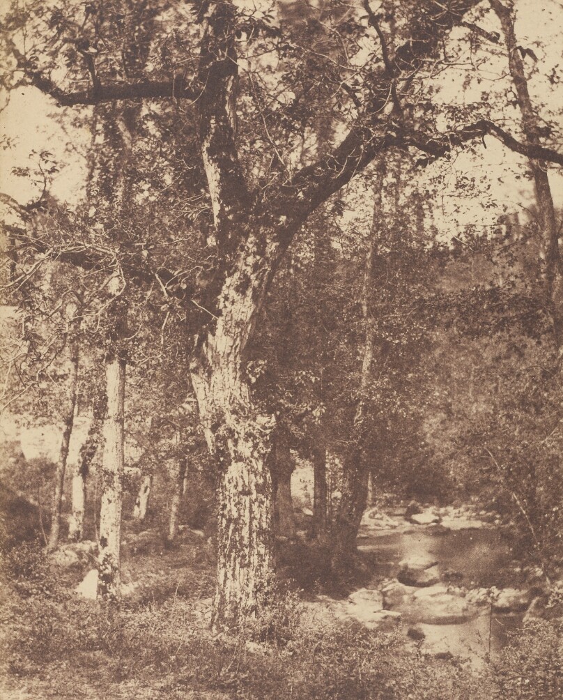[Wooded Landscape with Stream]