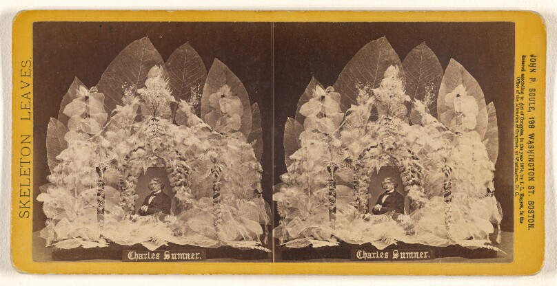 Charles Sumner.
