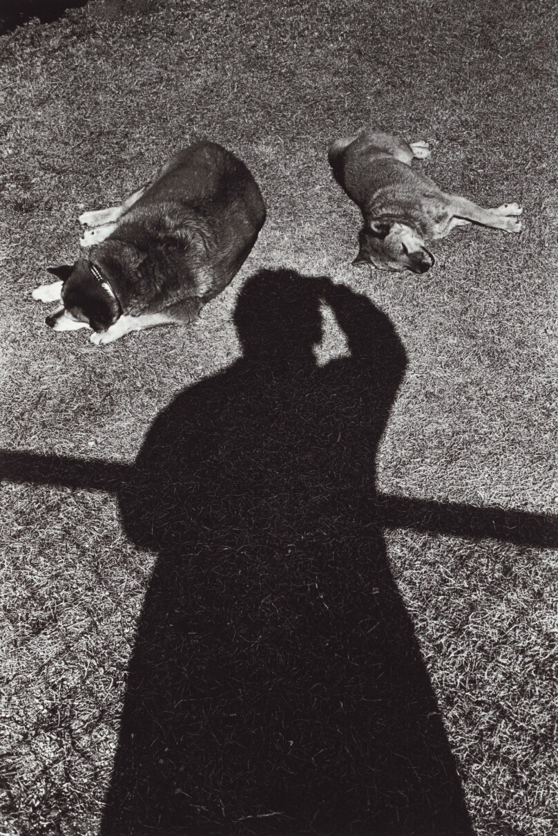 Shadow, Osaka