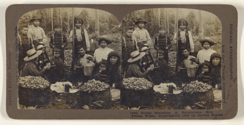 Group Siwashes in Snoqualmie Hop Fields, Wash.