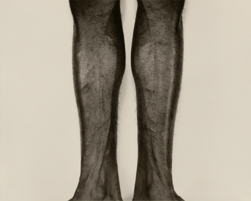 [Pair of legs]