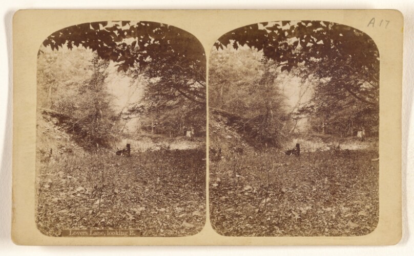 [Lovers Lane looking E.]