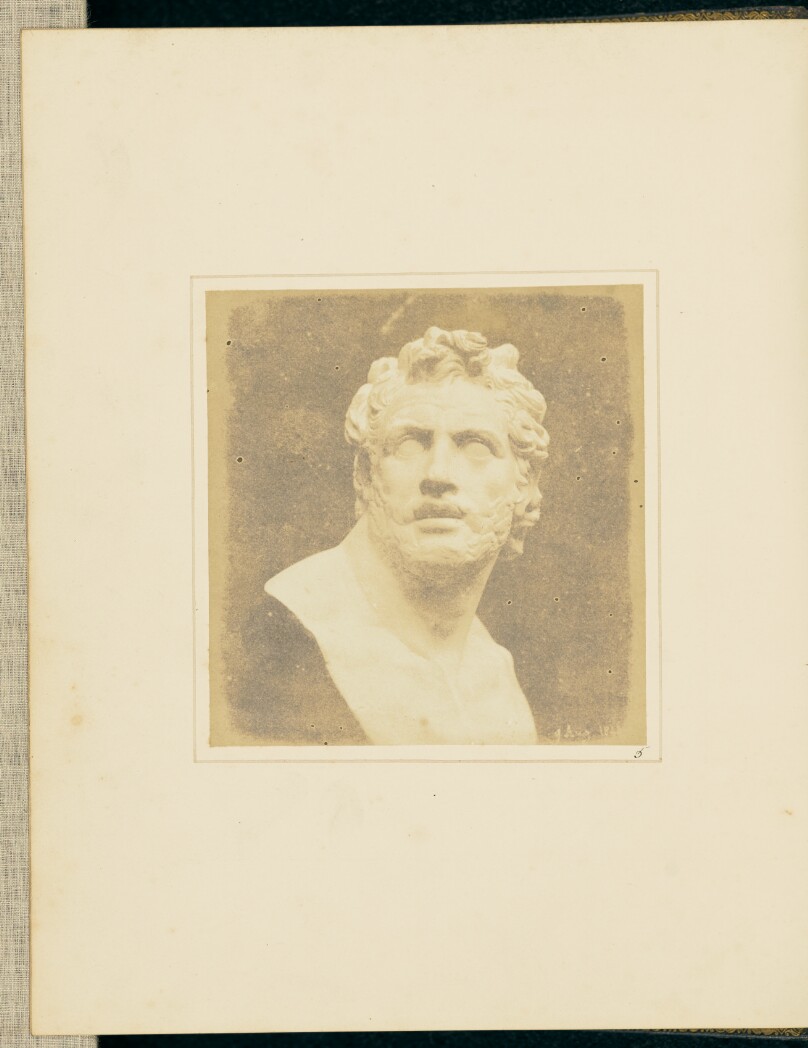 Bust of Patroclus