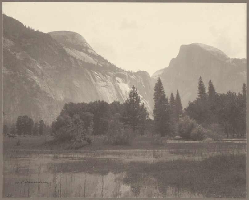 [View of Yosemite Valley with Marsh and Horses]