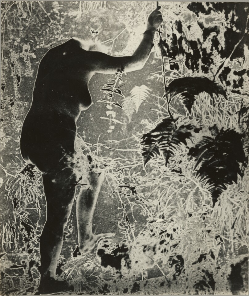 Untitled