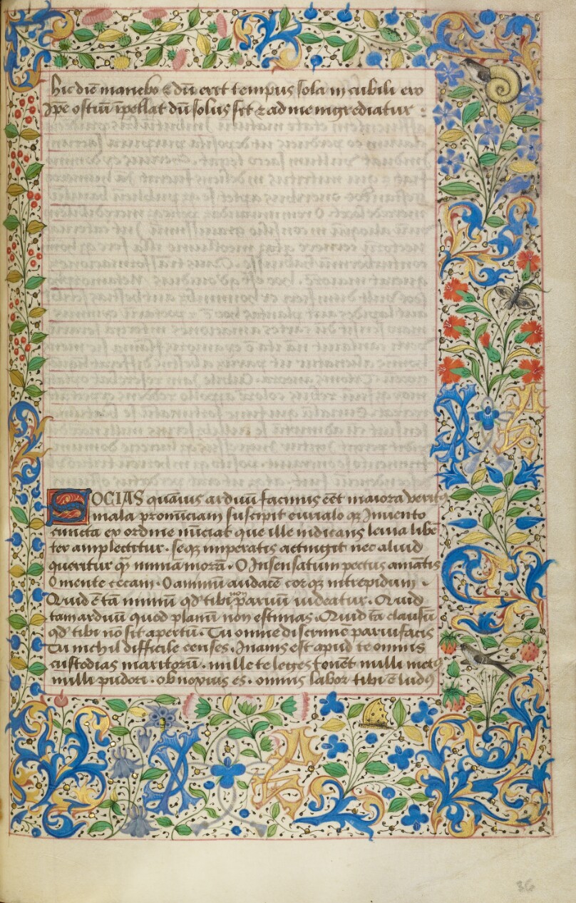 Decorated Text Page