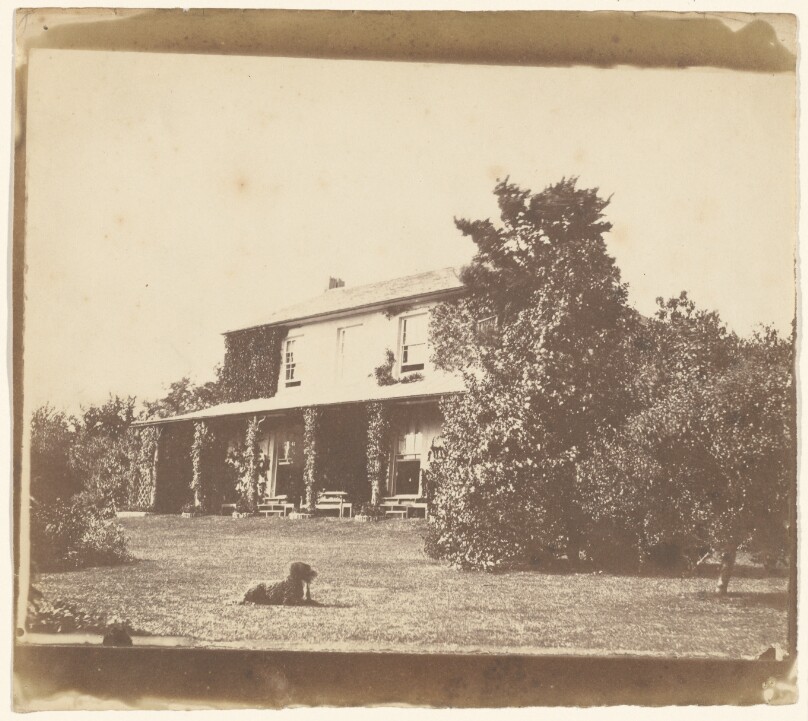 [House and garden with dog on lawn]