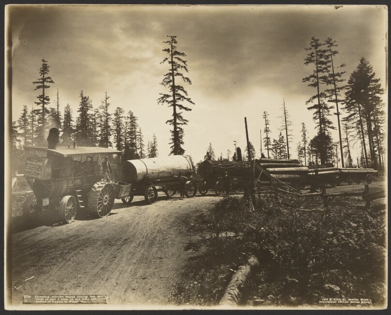 Threshing machine engine hauling five wagon loads of logs