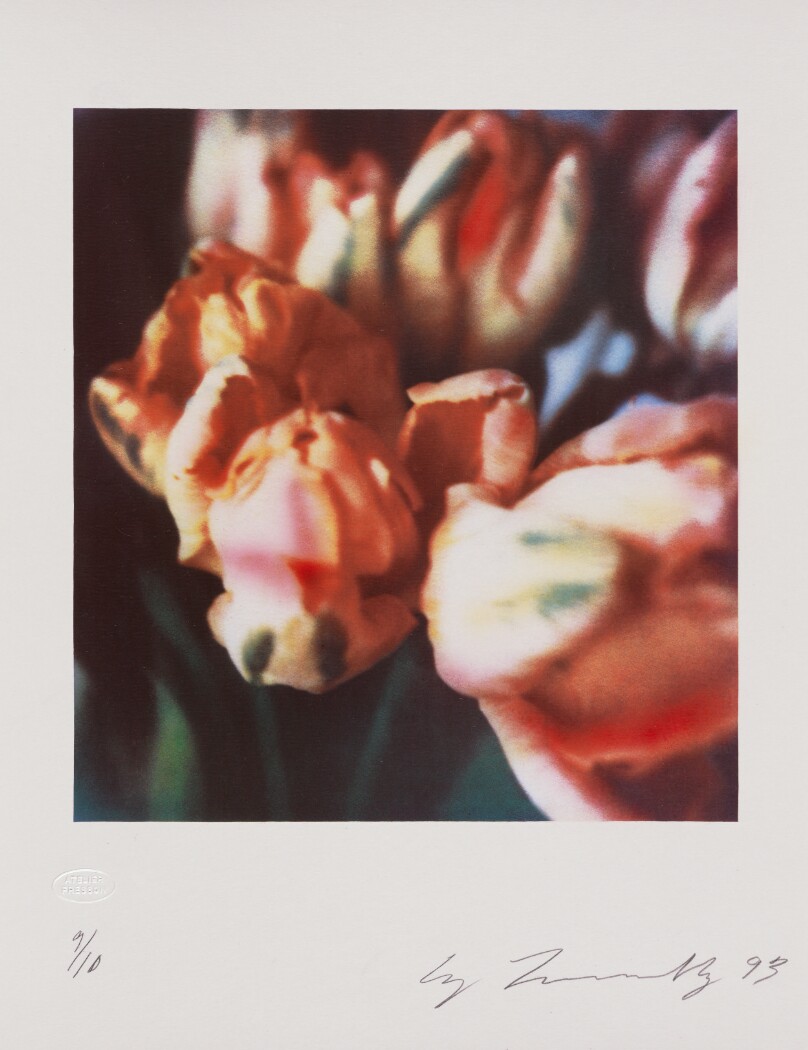 Tulips III no. 3