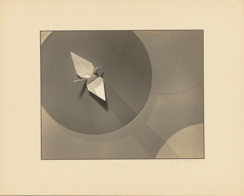 Paper Bird