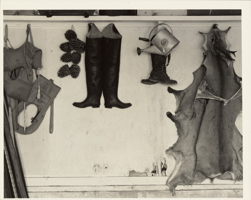 Boots, Hides, Watering Can, Southwestern Utah