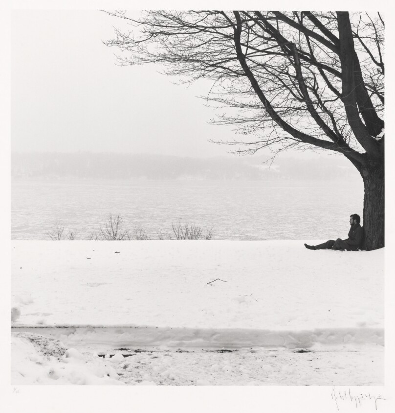 Winter Landscape