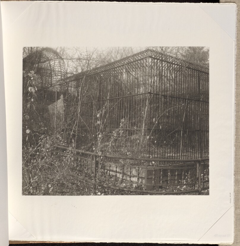 Bronx Zoo, Bronx