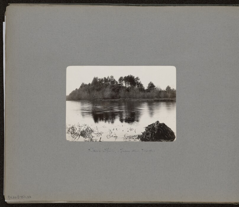 [View of Ball's Hill - North]