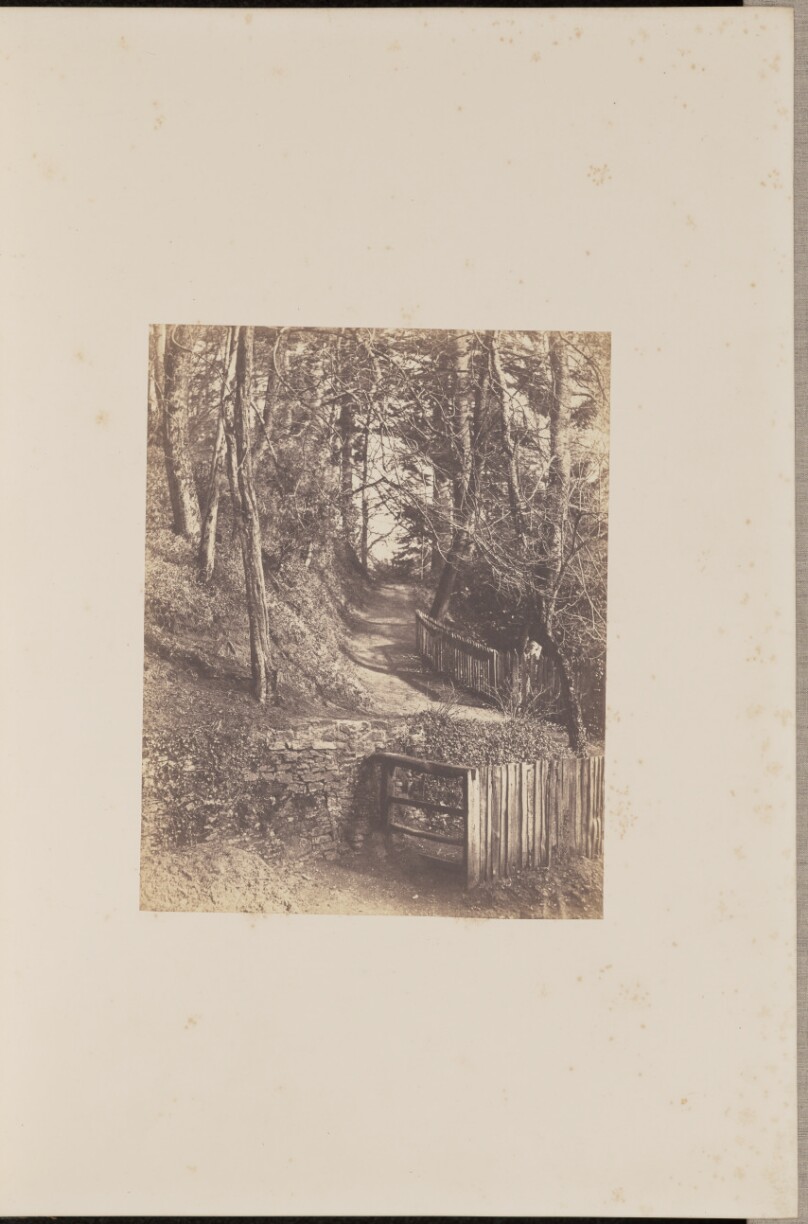 A Sheltered Nook