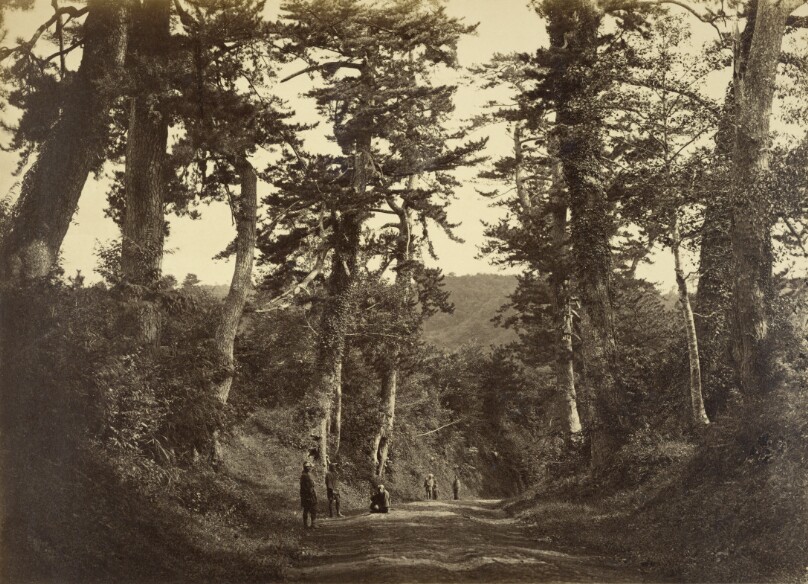View on the Tokaido Road