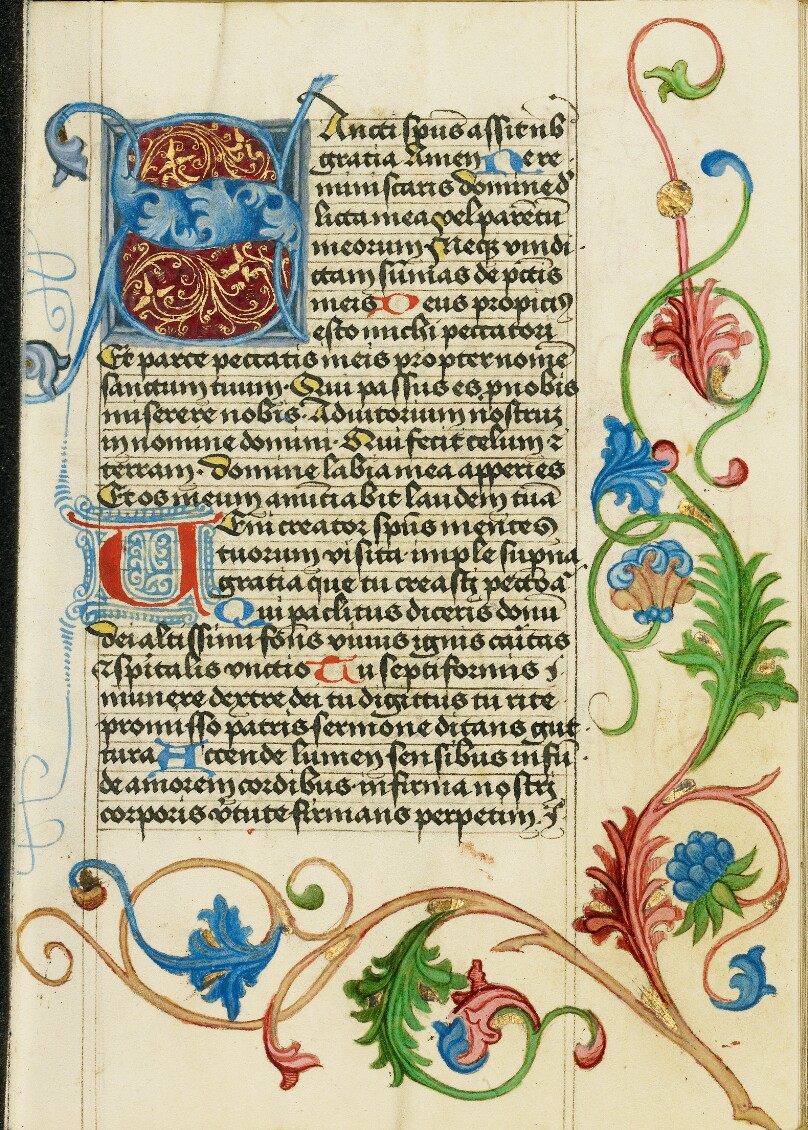 Decorated Initial S