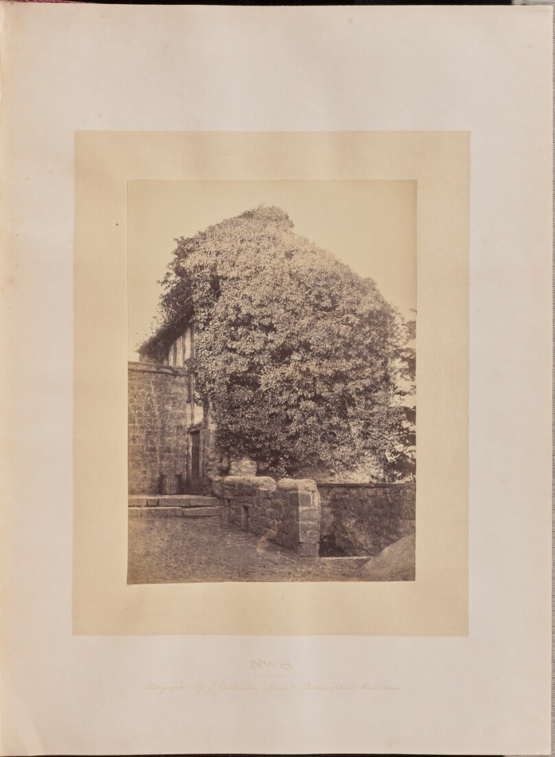 Upper Story of the Bastion Called the Ivy Tower