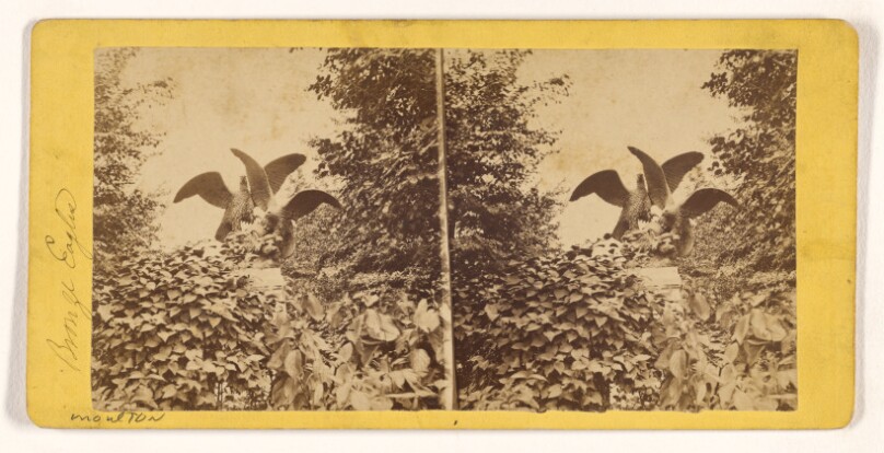 [Bronze Eagles] View in Central Park, New York.