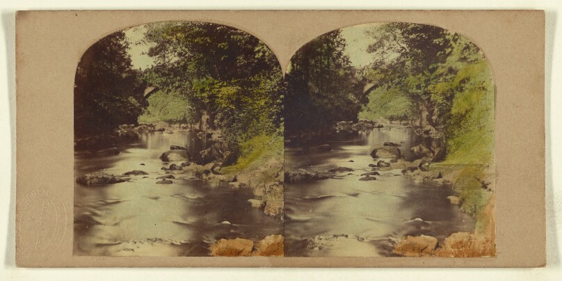 View in the Dargle, county Wicklow, Ireland.