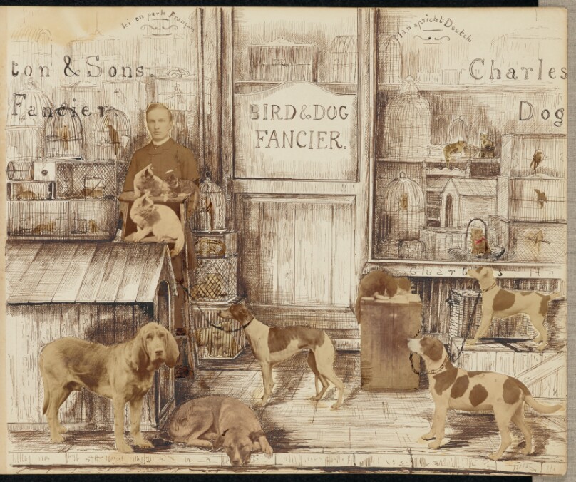 [Bird and Dog Fancier]