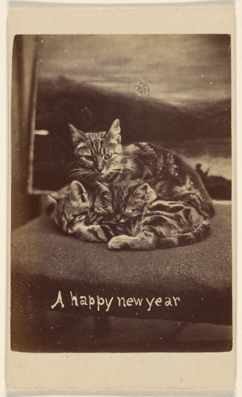 A happy new year