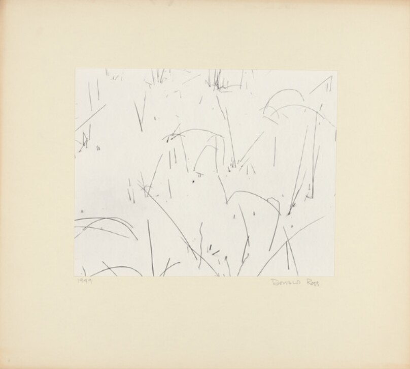 Grasses in Snow