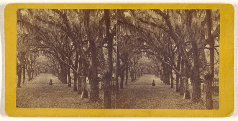 Bonaventure.