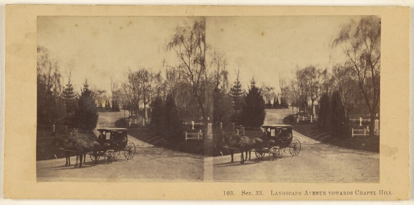 Landscape Avenue Towards Chapel Hell [Green-Wood Cemetery, New York]