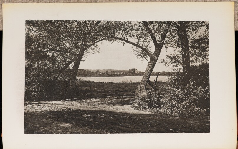 Scene near Fresh Pond, in Cambridge, on Concord Turnpike