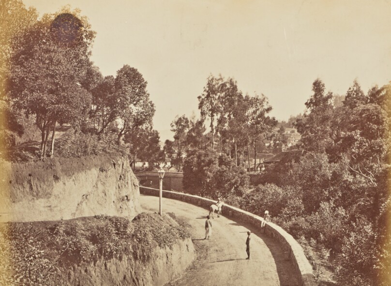 [Hillside Road]