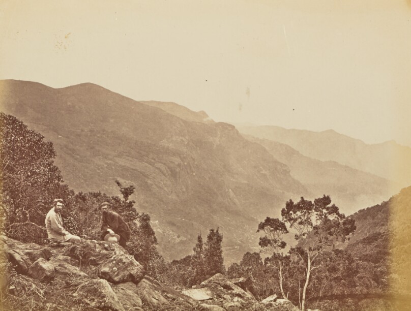 [Mountain View]
