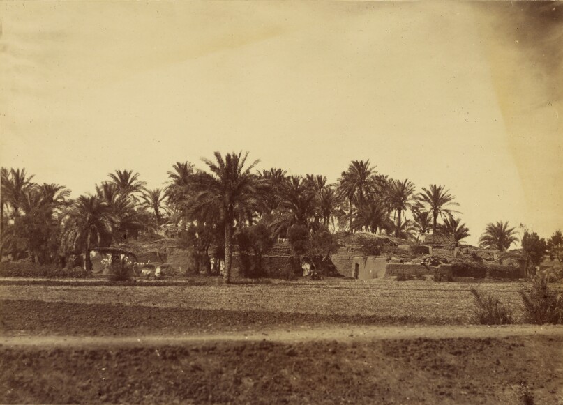 Village des Pyramides - Ghizeh.