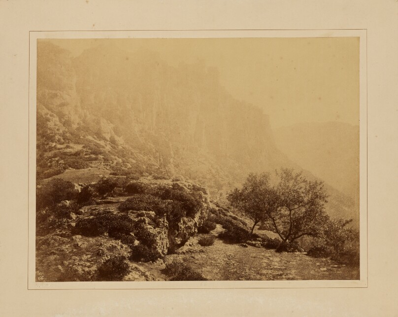 [Untitled Landscape]