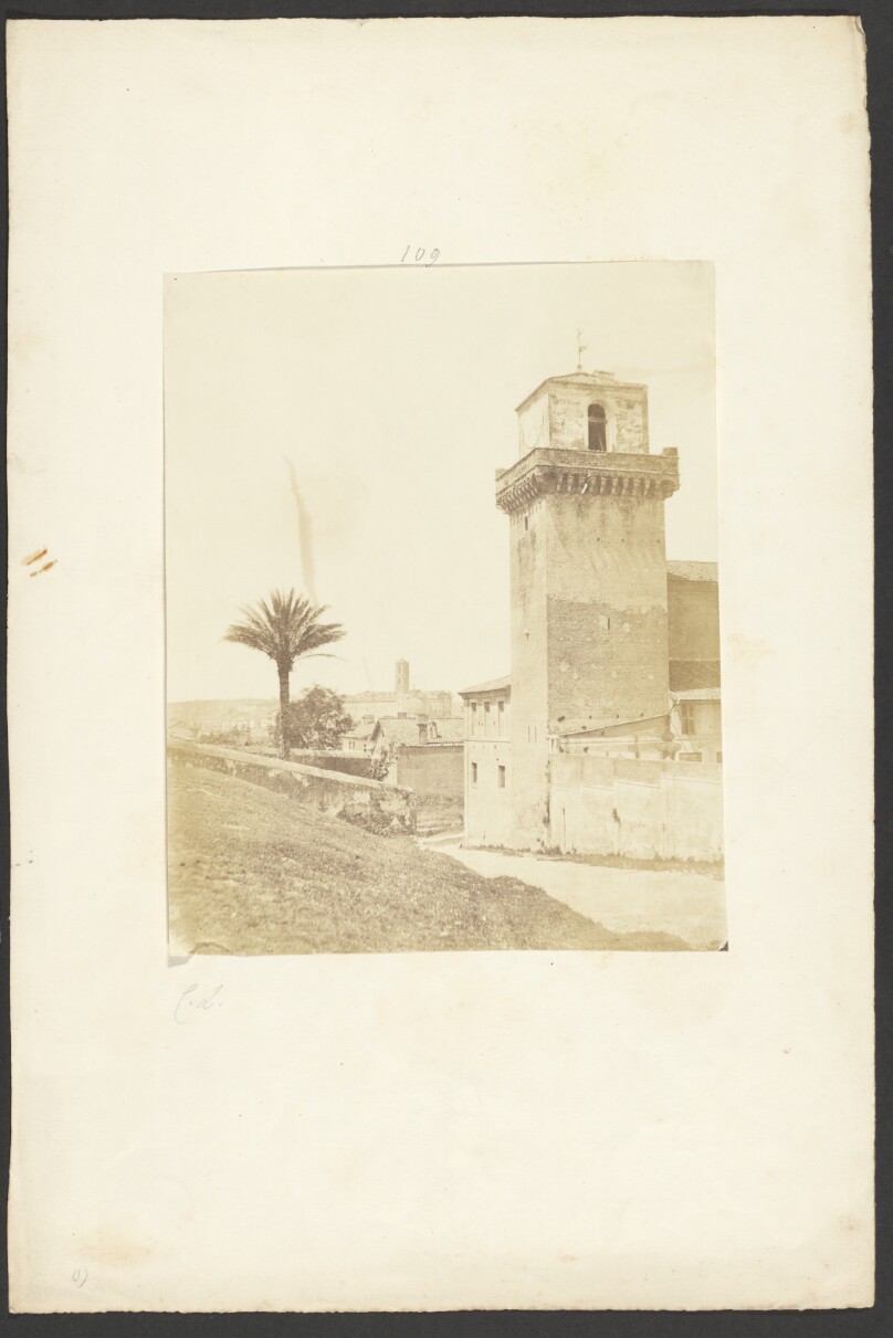 [Tower and palm tree]
