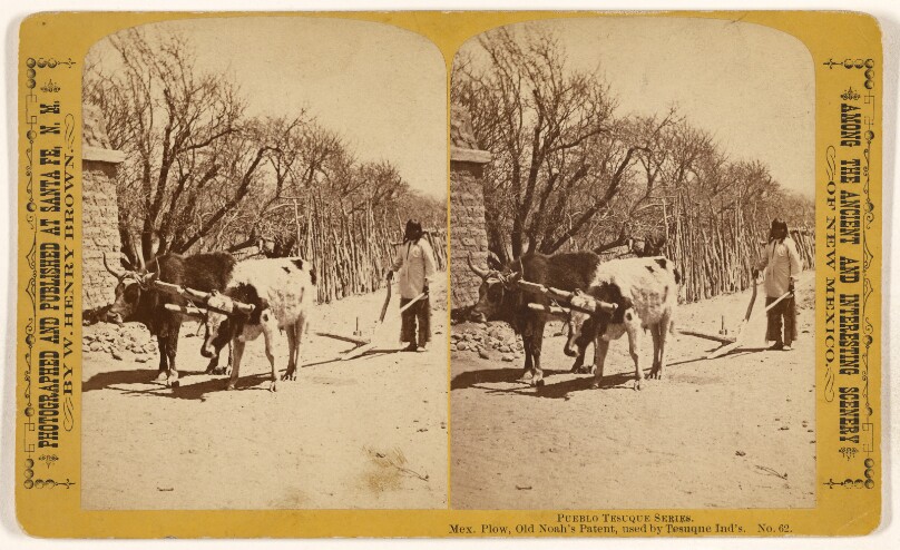 Pueblo Tesuque Series. Mex. Plow, Old Noah's Patent, used by Tesuque Ind's.