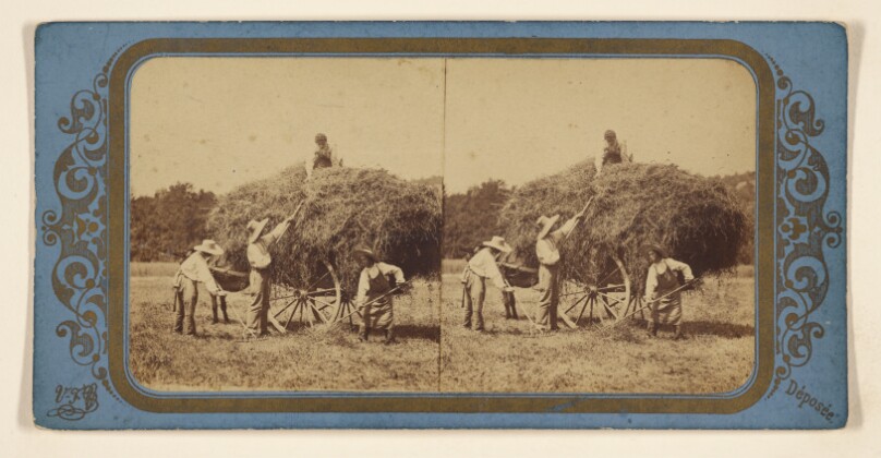 [French workers pitching hay in wagon]