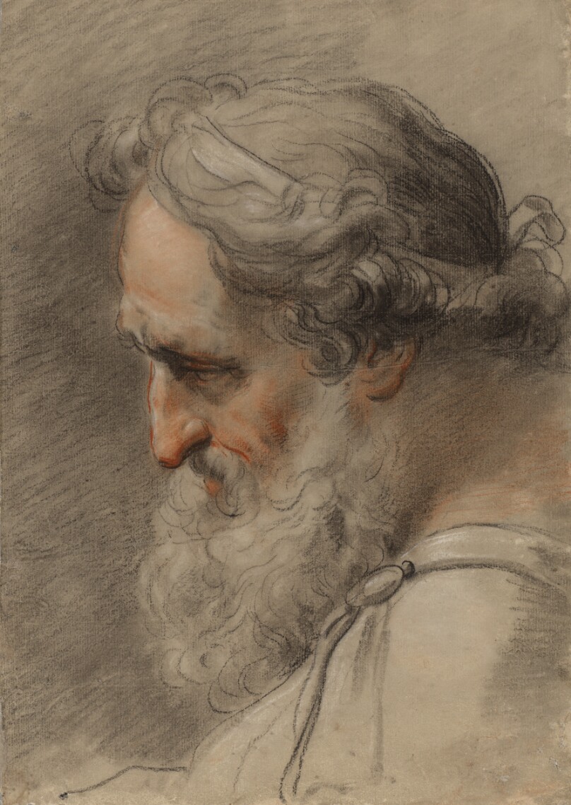 The Head of King Priam in Profile