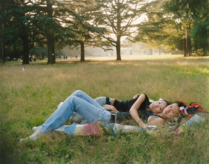 picnic #46